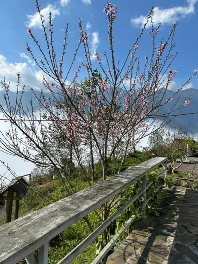 Homestay 1579 SaPa – Photos 9